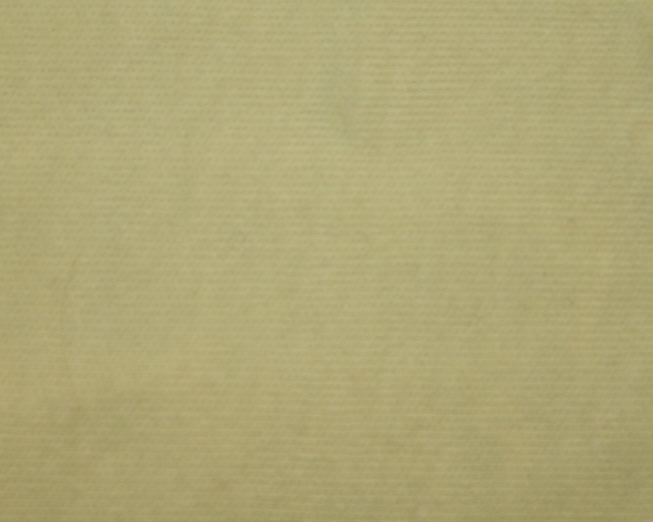 Plain Cotton Jersey Lemon