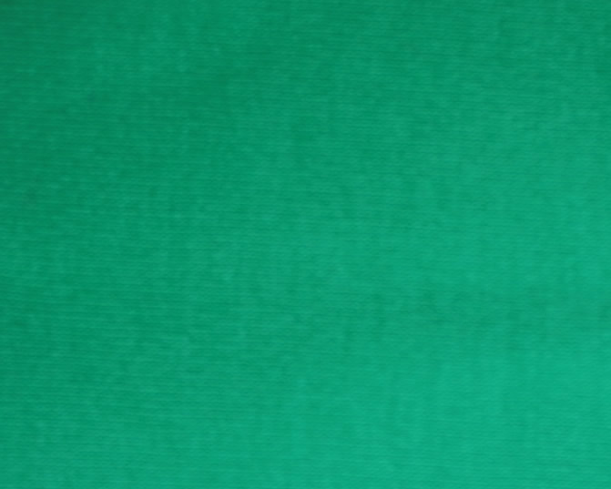 Plain Cotton Jersey Emerald