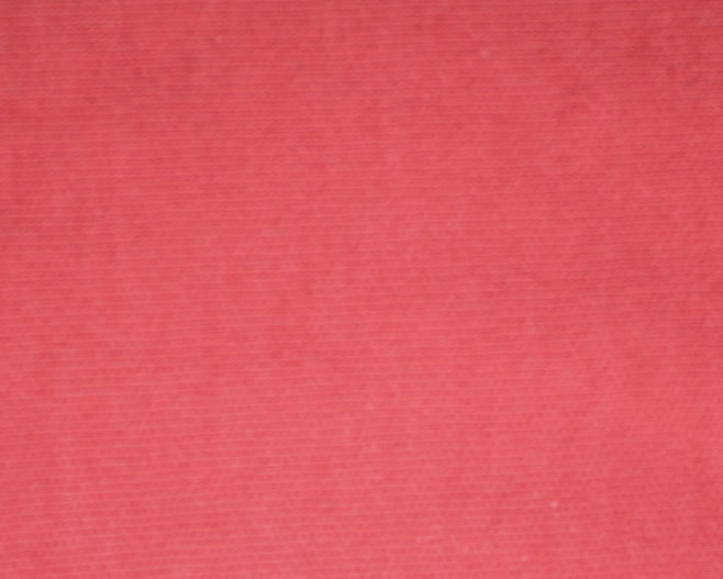 Plain Cotton Jersey Coral