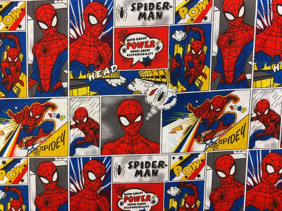 Spiderman Comic Strip