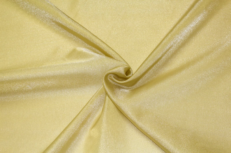 Gold Crystal Organza