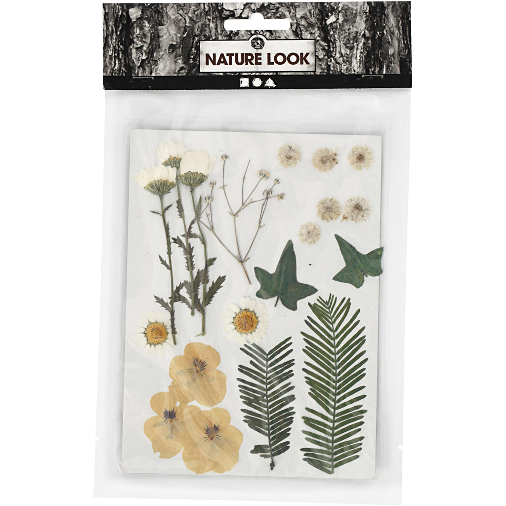 Pressed Flowers and Leaves in White and Natural