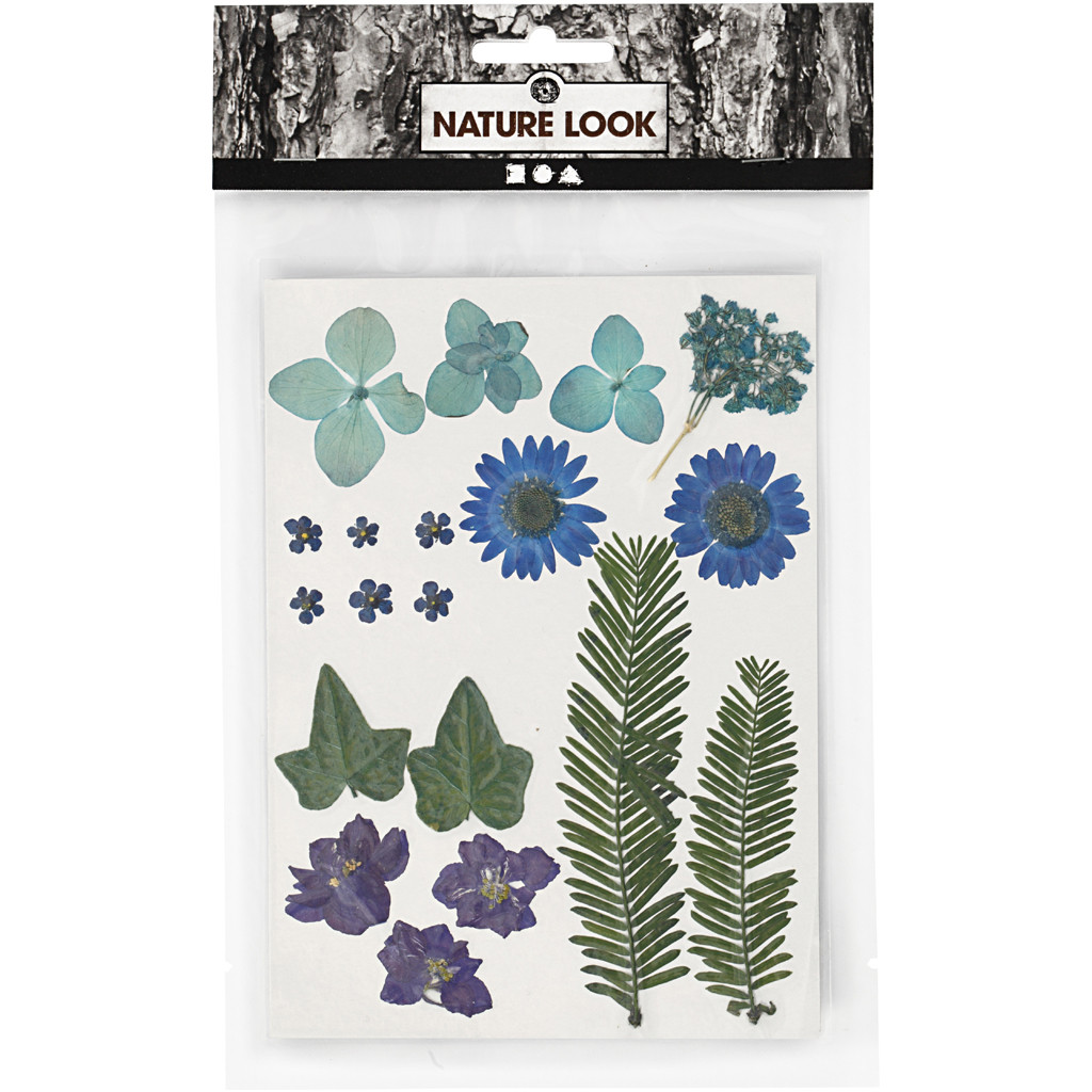 Pressed Flowers and Leaves in Blue and Natural 