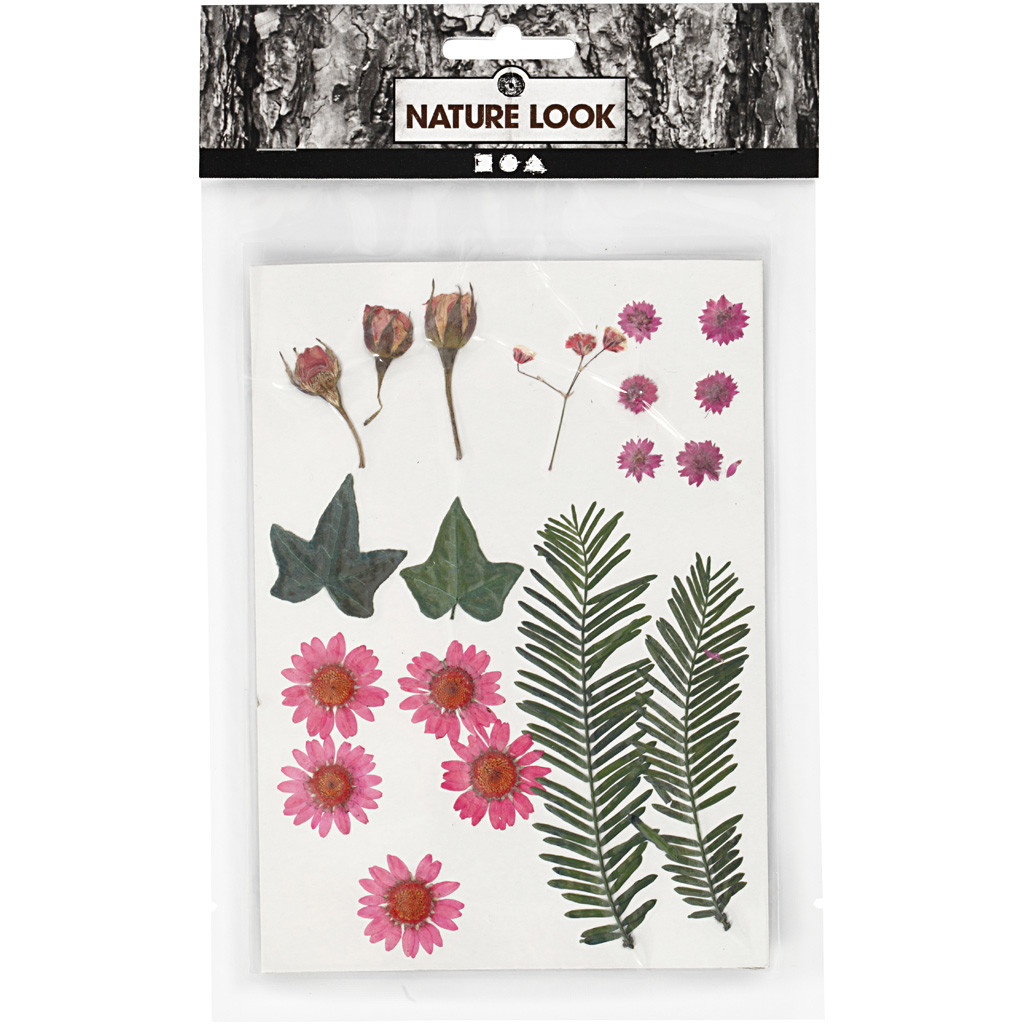 Pressed Flowers and Leaves in Pink and Natural 