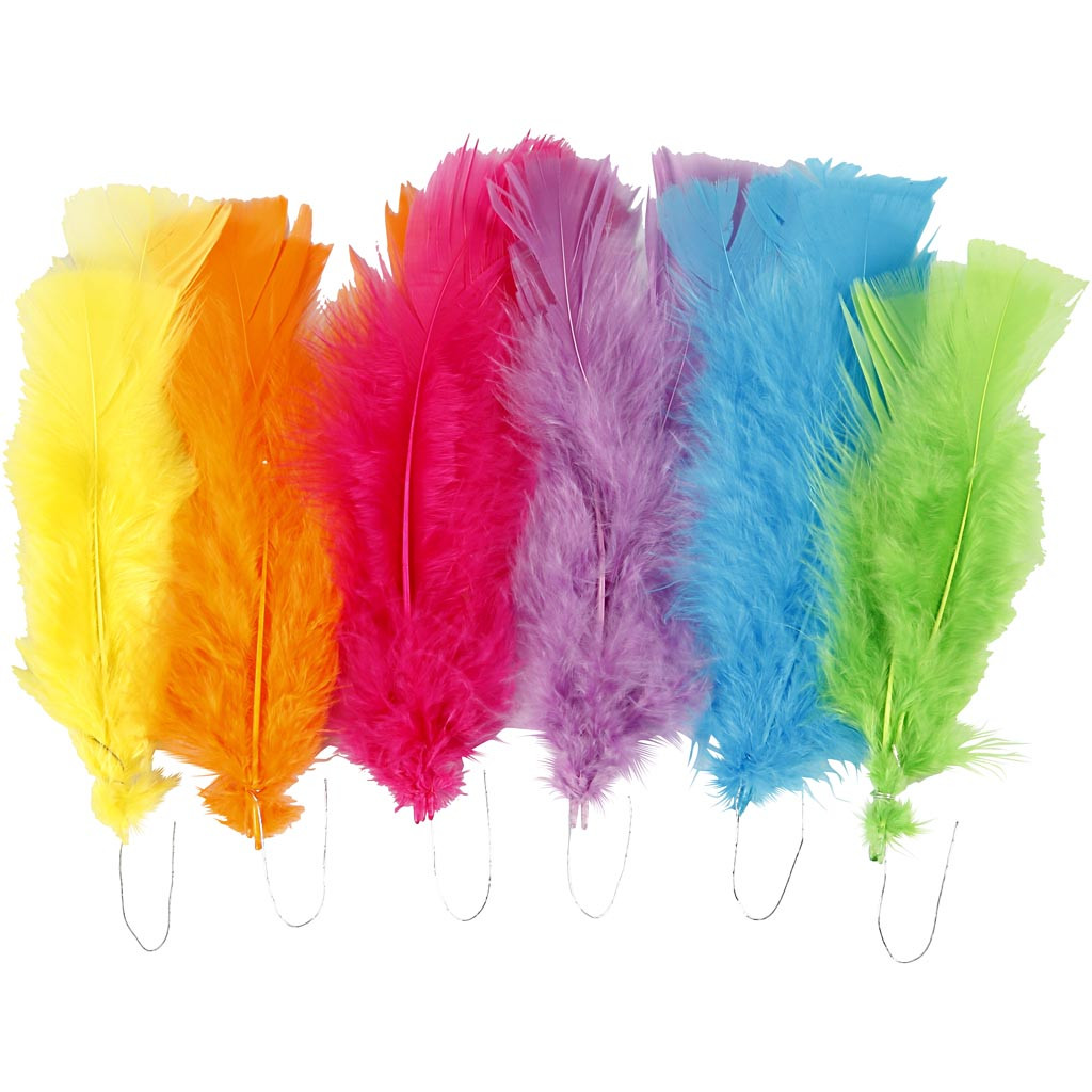 Feathers asstd bright colours, size- 11-17 cm