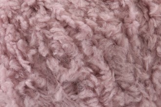 Snuggly Bunny Kitten 313