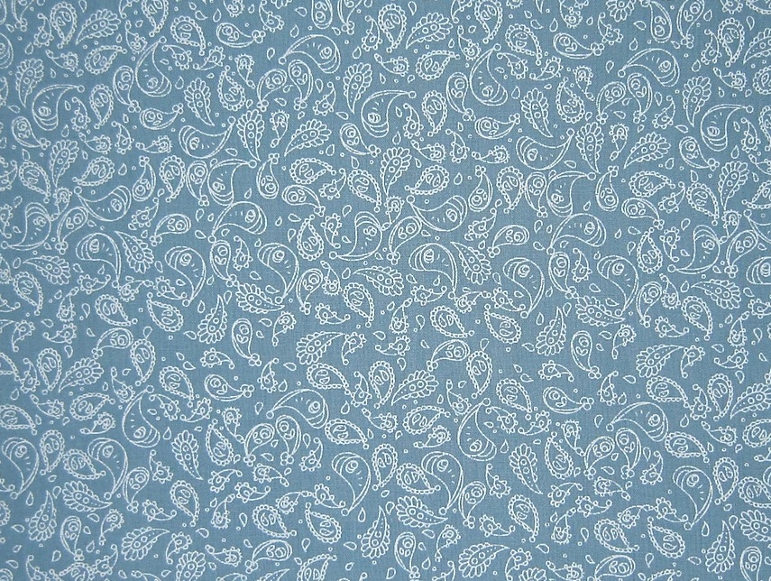 Polyester Cotton Print Paisley Wedgewood Blue