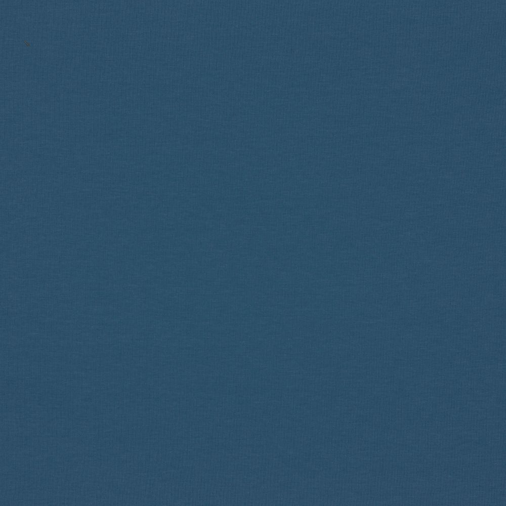 SOFT SWEATSHIRTING - JEANS