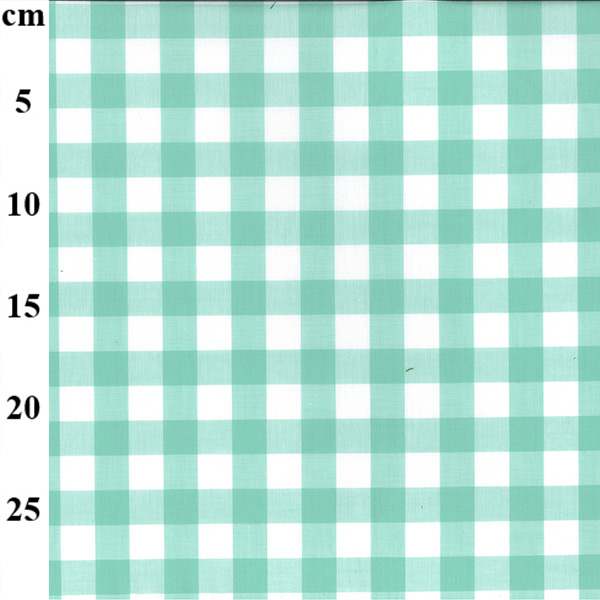 Cotton Gingham Yarn Dyed Mint