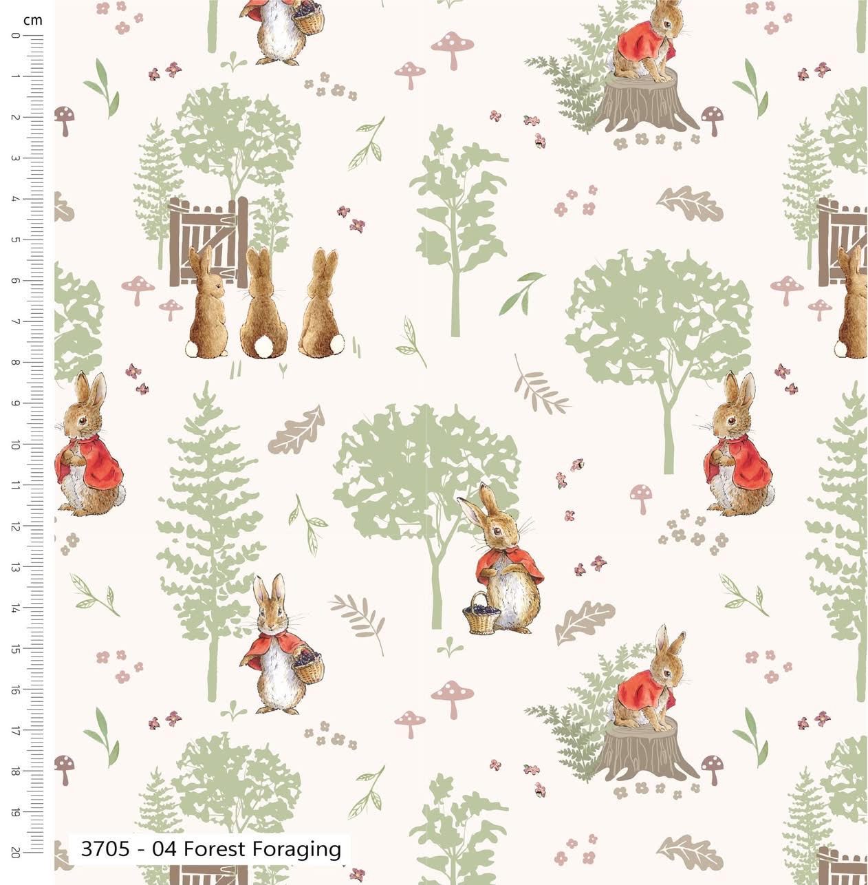 Peter Rabbit Tales of the Burrow-Forest Foraging
