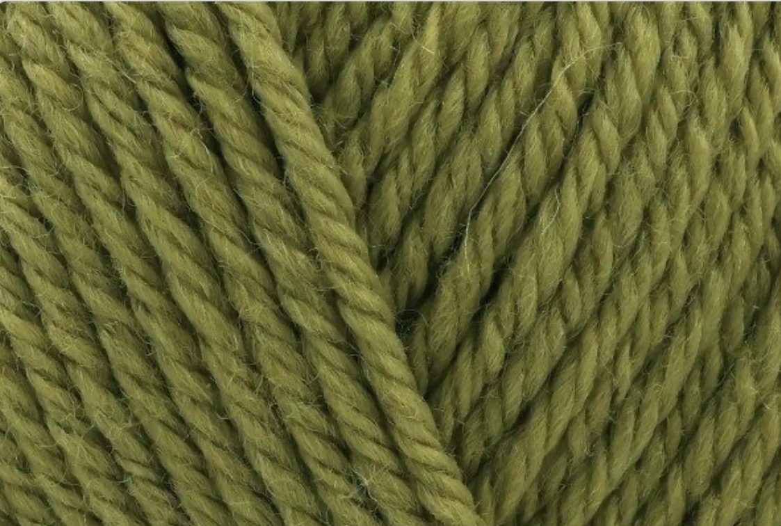 Stylecraft Naturals- Pure Wool Mistletoe 2180